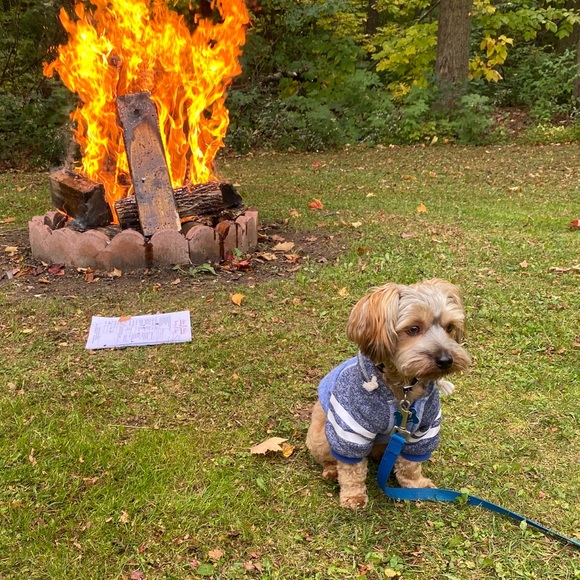 Meet your Posher, Cassandra - Picture 1 of 1